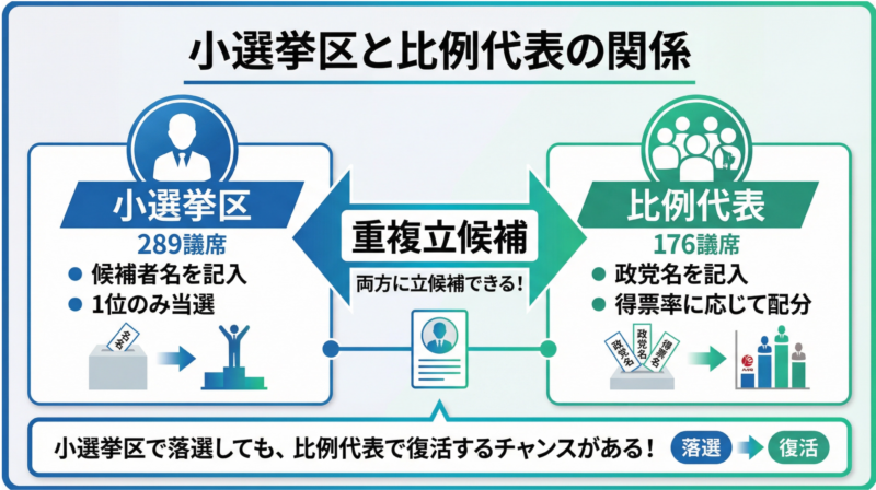 小選挙区と比例代表の関係、重複立候補の仕組みを示す図解