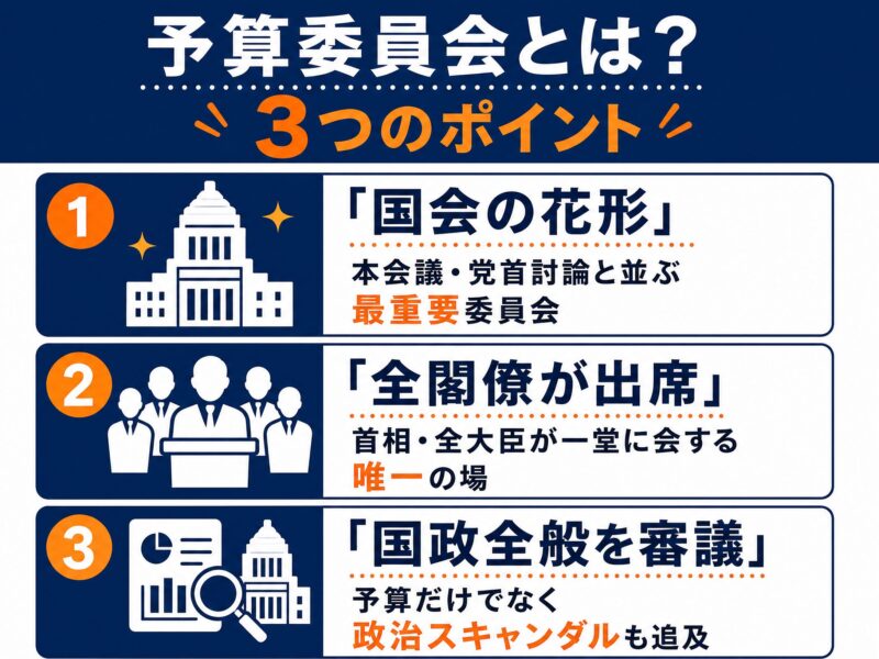 要約図解:予算委員会とは?3つのポイント