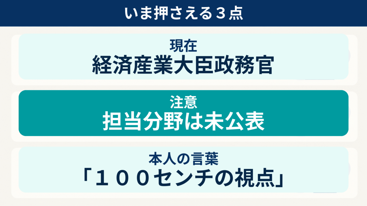 石井苗子の経済産業大臣政務官就任、個別担当が未公表であること、100センチの視点を示す振り返り図解