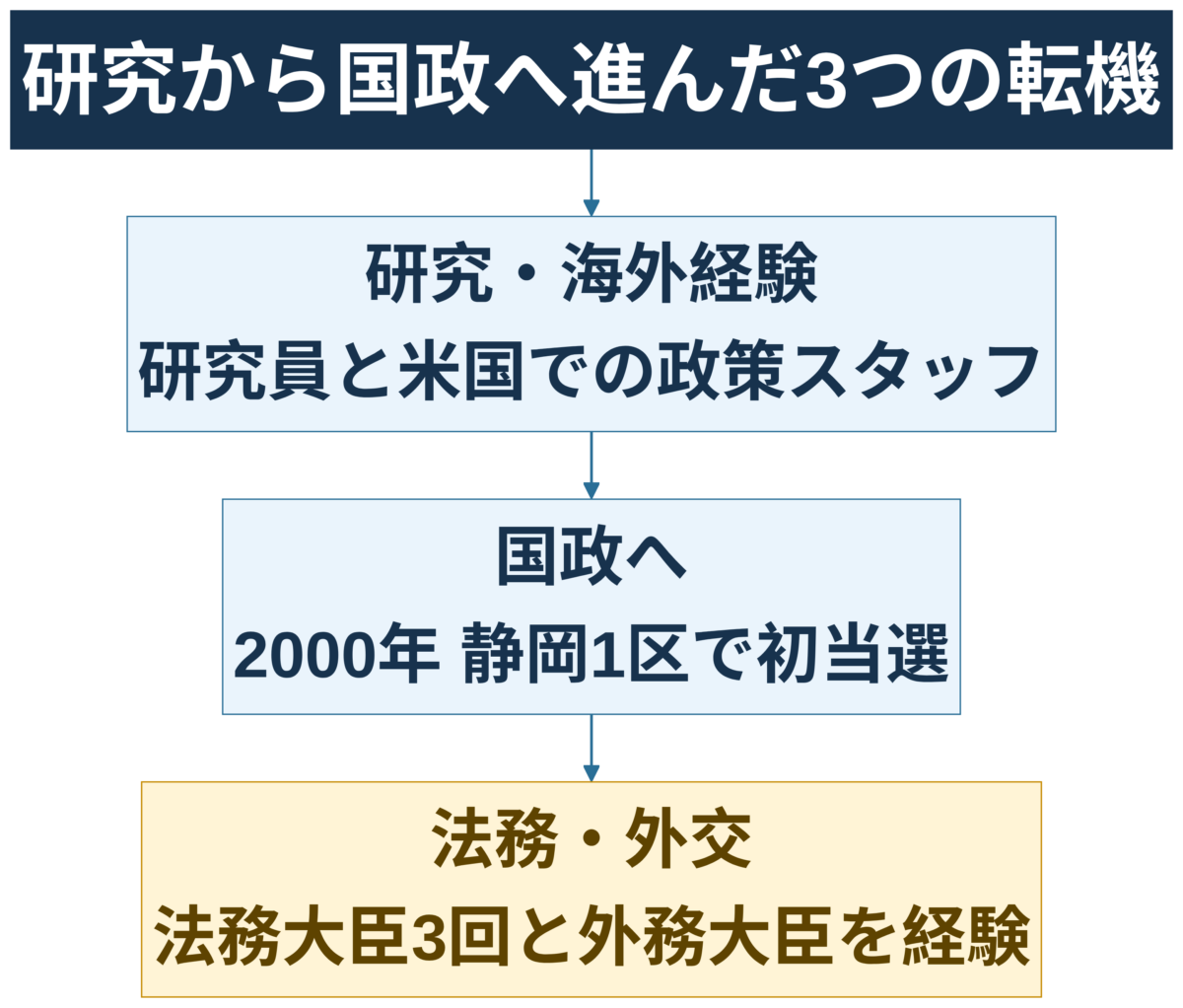上川陽子が研究と海外経験から国政、法務と外交へ進んだ経歴図解