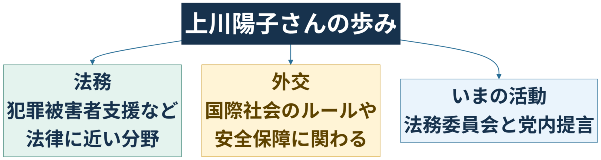 上川陽子の法務、外交、現在の活動を示す振り返り図解