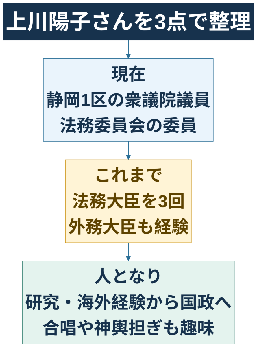 上川陽子の現在、経歴、人となりを示す要約図解