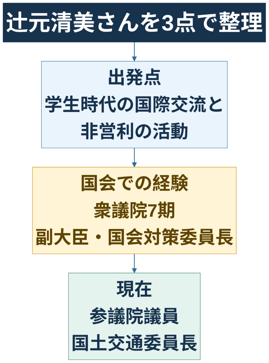 辻元清美の出発点、国会経験、現在を示す要約図解