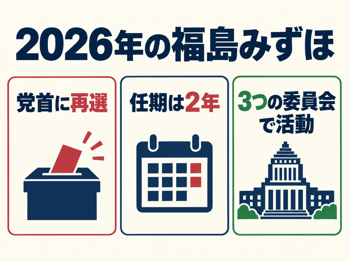 福島みずほの党首、参議院議員、国会委員会の三つの役割を示す現在地図解