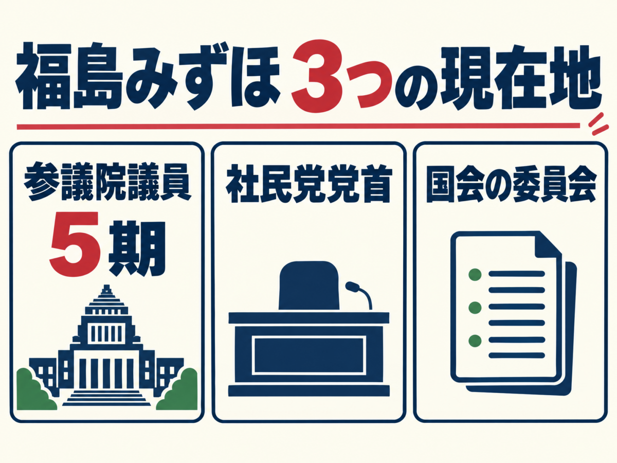 福島みずほの弁護士、参議院議員、社民党党首としての現在地を示す要約図解