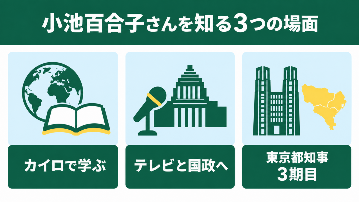 カイロ留学、テレビと国政、東京都知事3期目を示す要約図解