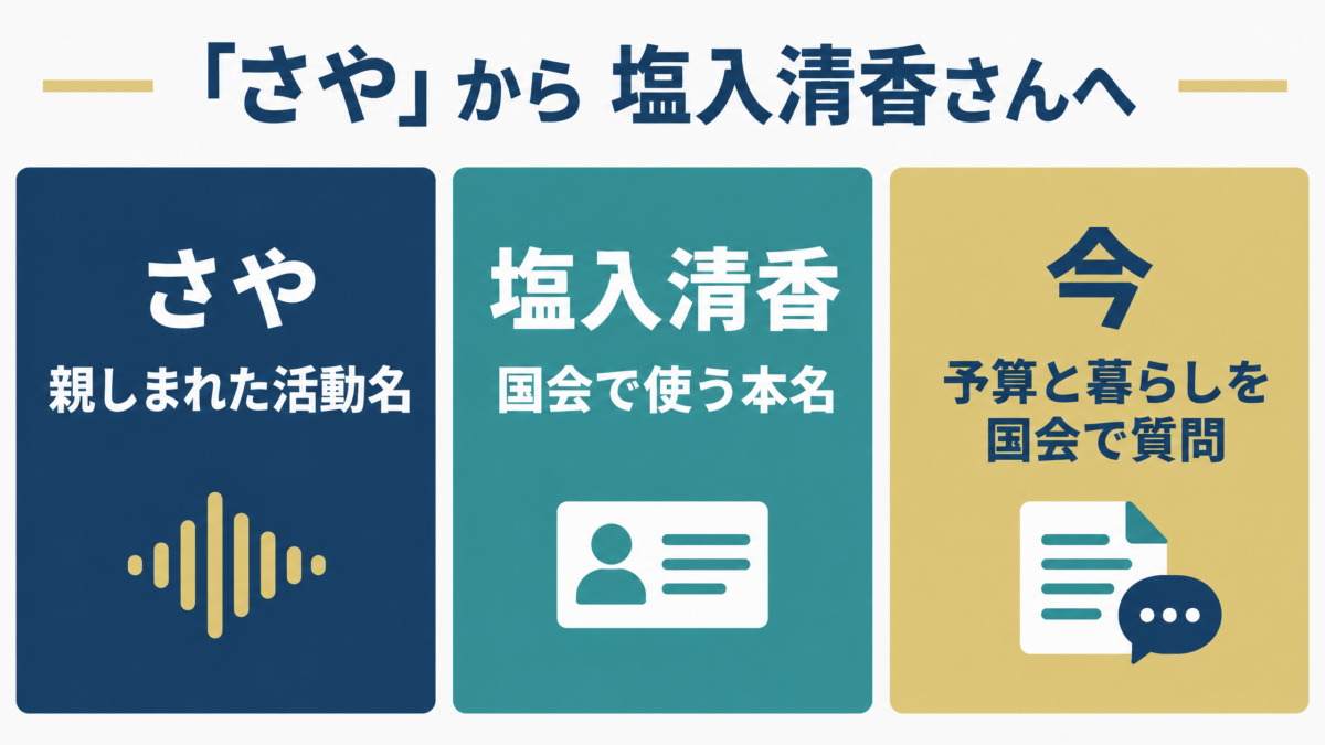 活動名さや、本名塩入清香、国会で予算と暮らしを質問する現在を示す振り返り図解
