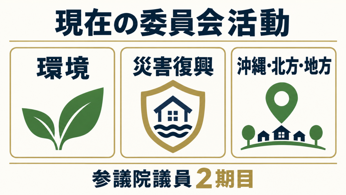 梅村みずほの現在の国会活動として環境、災害復興、沖縄北方地方の三つの委員会分野を示す図解